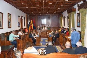  La lucha contra la lacra machista se sube al taxi en Telde/Francisco Javier Santana.